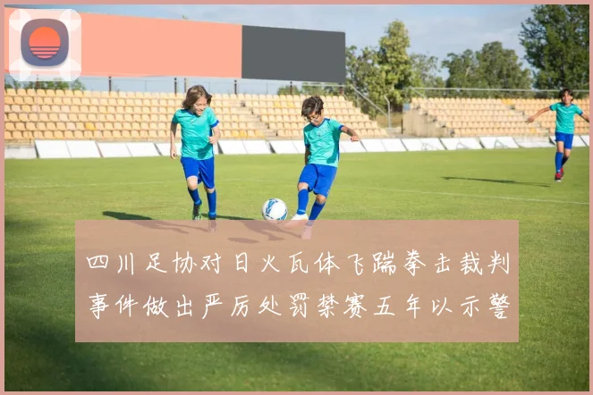 四川足协对日火瓦体飞踹拳击裁判事件做出严厉处罚禁赛五年以示警戒