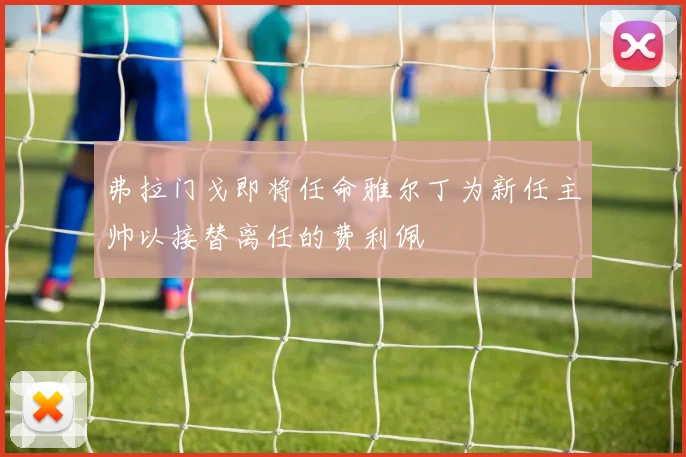 弗拉门戈即将任命雅尔丁为新任主帅以接替离任的费利佩