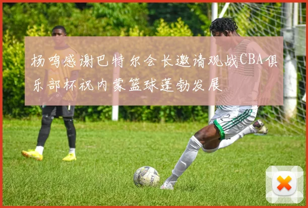 杨鸣感谢巴特尔会长邀请观战CBA俱乐部杯祝内蒙篮球蓬勃发展